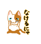 お気楽ねこまる（個別スタンプ：26）