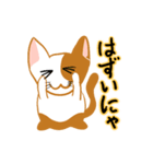 お気楽ねこまる（個別スタンプ：30）