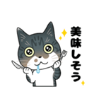 サバ白雑種猫のなめこちゃん2（個別スタンプ：4）