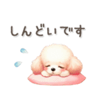 犬がいっぱい♡ふわふわトイプー（個別スタンプ：31）