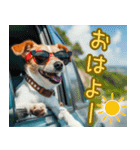 夏・毎日☆犬たちのスタンプ（個別スタンプ：13）