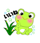 Mr. Frogの日常夏（個別スタンプ：4）