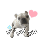 PandA.BUHI 1（個別スタンプ：17）