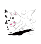 うちのチロ 犬 日常（個別スタンプ：5）