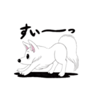 うちのチロ 犬 日常（個別スタンプ：11）