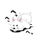 うちのチロ 犬 日常（個別スタンプ：13）