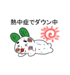 夏のゆきうさぎ（個別スタンプ：29）