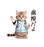 毎日使える パーカーねこ ぽっちゃり 連絡（個別スタンプ：14）