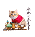 毎日使える パーカーねこ ぽっちゃり 連絡（個別スタンプ：18）