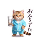 毎日使える パーカーねこ ぽっちゃり 連絡（個別スタンプ：28）