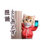 毎日使える パーカーねこ ぽっちゃり 連絡（個別スタンプ：40）