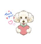 My Dog Stickers-Mocha-（個別スタンプ：1）