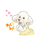 My Dog Stickers-Mocha-（個別スタンプ：4）