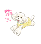 My Dog Stickers-Mocha-（個別スタンプ：10）