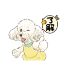 My Dog Stickers-Mocha-（個別スタンプ：11）