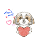 My Dog Stickers -PERO＆GEN-（個別スタンプ：1）