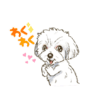 My Dog Stickers -PERO＆GEN-（個別スタンプ：4）