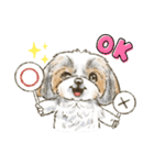 My Dog Stickers -PERO＆GEN-（個別スタンプ：5）