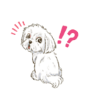 My Dog Stickers -PERO＆GEN-（個別スタンプ：6）