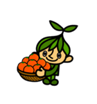 野菜農家スタンプ（個別スタンプ：15）