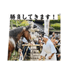 相馬野馬追 お馬 挨拶 侍（個別スタンプ：7）