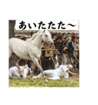 相馬野馬追 お馬 挨拶 侍（個別スタンプ：8）