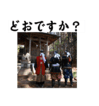 相馬野馬追 お馬 挨拶 侍（個別スタンプ：26）