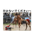 相馬野馬追 お馬 挨拶 侍（個別スタンプ：34）