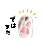 久保家のにゃんず（個別スタンプ：23）