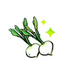 じゃぱにーず新鮮野菜（個別スタンプ：1）