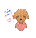 My Dog Stickers -ローくん-（個別スタンプ：1）