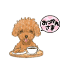 My Dog Stickers -ローくん-（個別スタンプ：3）