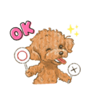 My Dog Stickers -ローくん-（個別スタンプ：5）