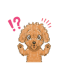 My Dog Stickers -ローくん-（個別スタンプ：6）