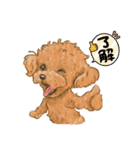 My Dog Stickers -ローくん-（個別スタンプ：11）