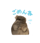 チンチラのとうふくん。（個別スタンプ：6）