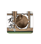 【我が家のうい】動くうさ子LINEスタンプ（個別スタンプ：13）