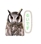 Louis (ルイ)（個別スタンプ：2）