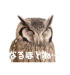 Louis (ルイ)（個別スタンプ：9）