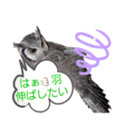 Louis (ルイ)（個別スタンプ：14）