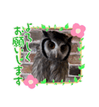 Louis (ルイ)（個別スタンプ：15）