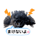 Louis (ルイ)（個別スタンプ：16）