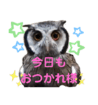 Louis (ルイ)（個別スタンプ：22）