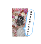 Louis (ルイ)（個別スタンプ：23）