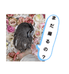 Louis (ルイ)（個別スタンプ：24）