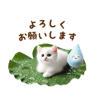 雨の日の白ねこに癒されるスタンプ（個別スタンプ：19）