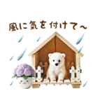 雨の日の白くまに癒されるスタンプ（個別スタンプ：12）