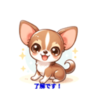 かわいいチワワの癒しスタンプ（個別スタンプ：1）