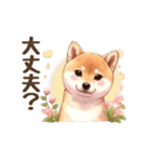 柴犬とお花のほんわかスタンプ（個別スタンプ：3）