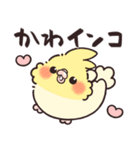 ふんわりオカメインコちゃんのダジャレ（個別スタンプ：12）